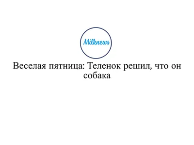 Друзья! Ура, пятница! А значит впереди нас ждут выходные! И как обычно мы  ждем всех Вас в Центральном парке на наших замечательных мероприятиях! —  КСК \"НАРА\"
