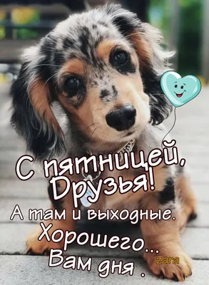 Чибис Днепр - Проведи вечер пятницы весело 💃🏻Живая Музыка 🎧, сочные  стейки 🥩 с фирменным соусом , веселая атмосфера и вкусные коктейли 🍸 в  подарок 🎁 #коктейль #стейк #подарки #пятница #вечер #живаямузыка #уютно  #чибис #чибисднепр #слюбовью ...