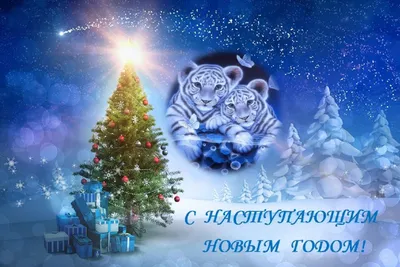 С нами стыдно, зато весело... - С нами стыдно, зато весело