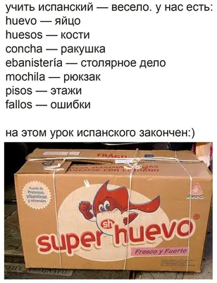 Альбом с заданиями \"Вместе весело играть\" к блокам Дьенеша и палочкам  Кюизенера для малышей (2-3 года) - купить в интернет-магазине Игросити