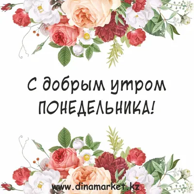 Веселые” понедельники ⠀ Утро понедельника - оно всегда особенное. После  выходных нужно как-то собраться, взять себя в руки и наконец-то… | Instagram