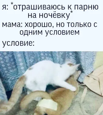 Юмор для мужчин для поднятия настроения