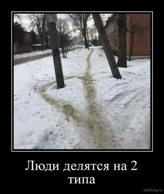 Весёлые демотиваторы (35 фото)