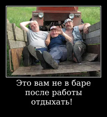 Деревенские красавцы! Смешные демотиваторы! | Сельские заметки | Дзен