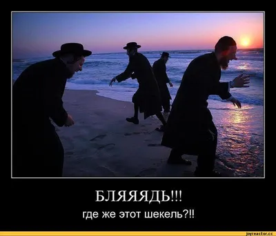 БЛЯЯЯДЬ!!! где же этот шекель?!! / евреи :: смешные демотиваторы  (ДЕЙСТВИТЕЛЬНО СМЕШНЫЕ новые лучшие демотиваторы со смыслом 2011,  demotivators смешно, демотивация, демативаторы, димативаторы ) / смешные  картинки и другие приколы: комиксы, гиф