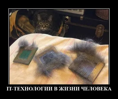 Веселые демотиваторы на понедельник