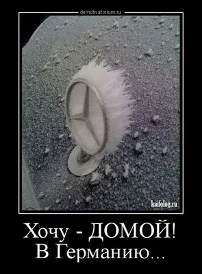 Весёлые демотиваторы (45 штук)