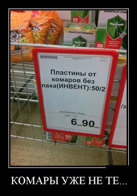 Демотиваторы - bigmir)net