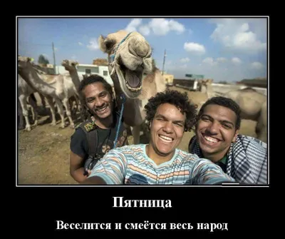 Жизненные и веселые демотиваторы в пятницу | Mixnews