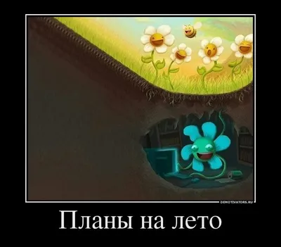 Демотиваторы » banana.by - 50 оттенков жёлтого - Лучше банан в руке, чем  киви в небе!
