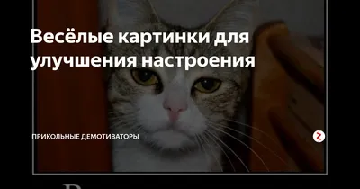 Весёлые картинки для улучшения настроения | Прикольные демотиваторы | Дзен