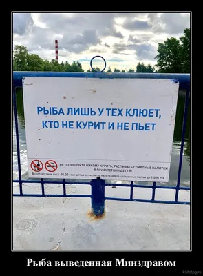 Прикольные демотиваторы: позитивный заряд (25 картинок) от 3 мая 2018 |  Екабу.ру - развлекательный портал