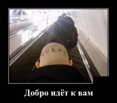 Демотиваторы - новые и смешные демотиваторы | ВКонтакте