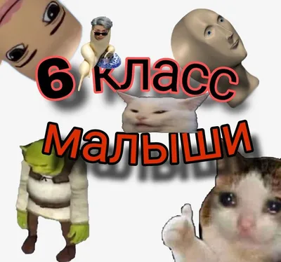 Ава для группы класса | Класс, Мемы, Веселые мемы