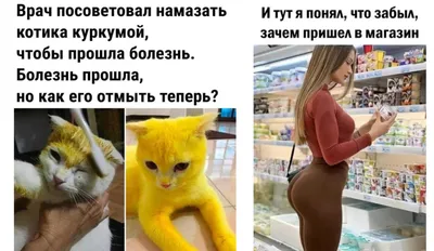 Смешные приколы - Смешные приколы added a new photo.