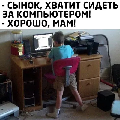 Весёлые коты 3309-М фотообои на флизелиновой основе 660 руб Фотообои 1  полоса Фотообои на флизелине - Магазин «Дом обоев» Московской Обойной  Фабрики