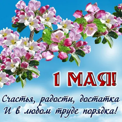 первомай / смешные картинки и другие приколы: комиксы, гиф анимация, видео,  лучший интеллектуальный юмор.