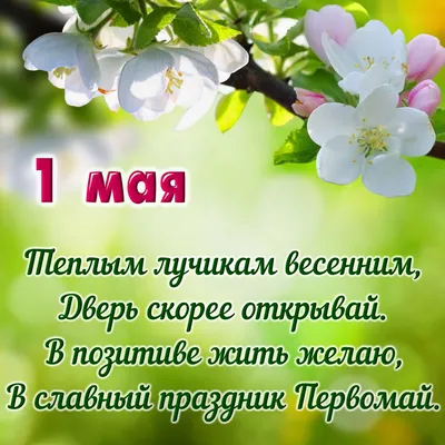Рождённые в СССР с праздником 1 мая. Добрые Советские открытки - Разное.  Интересное | Бэйбики - 150369