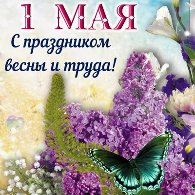 1 Мая в Магадане: Веселые аттракционы, праздничный концерт, конкурсы и  викторины - MagadanMedia