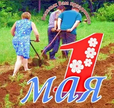 Самые смешные и прикольные картинки про 1 мая 2023 — 60 фото