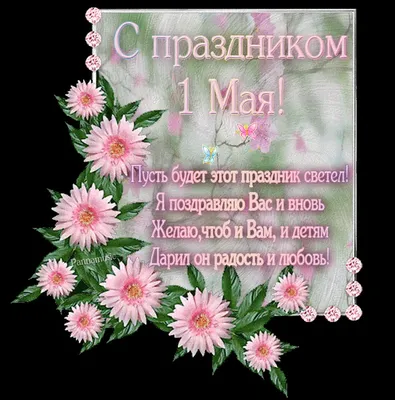1 мая в шопинг центре \"Европа\" семейный день здоровья! | Торговая сеть  \"Европа\"