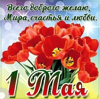 Самые смешные и прикольные картинки про 1 мая 2023 — 60 фото