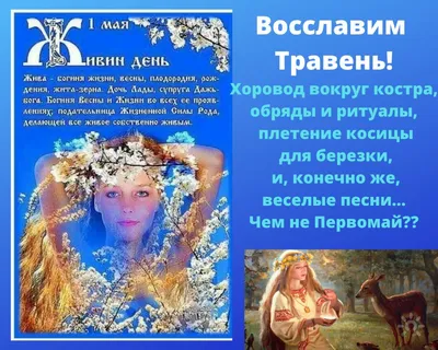 Веселые Джунгли - 🌸1 Мая — прекрасный весенний праздник, когда на улице  тепло, светит ласковое солнце, распускаются первые листики на деревьях. Это  праздник весны и труда, который обычно отмечают в кругу семьи