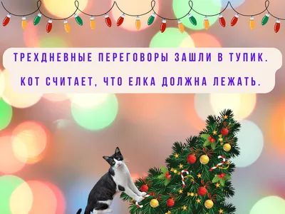 Стихи для малышей Веселый Новый год, 12 стр. - купить в Тимошенко Анастасия  Петровна, цена на Мегамаркет