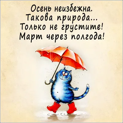 Картинки пожелания хорошего дня в дождливую погоду прикольные (56 фото) »  Картинки и статусы про окружающий мир вокруг