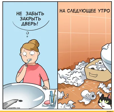 Лакшери-Котакшери. Смешные комиксы из жизни котиков и их человеков – купить  по выгодной цене | Интернет-магазин комиксов 28oi.ru