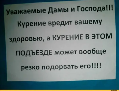 Прикольные картинки. Подними себе настроение | Сияние страсти | Дзен