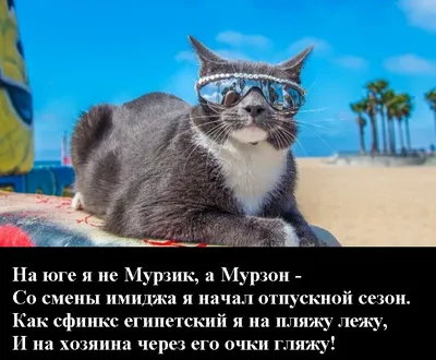 Конец отпуска картинки - 68 фото
