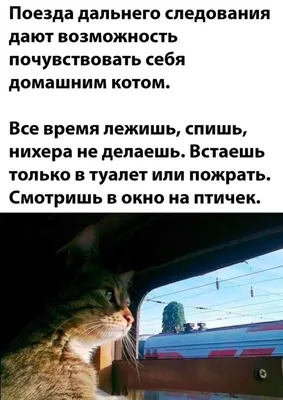 Смешные и прикольные картинки про отпуск и отдых — подборочка. |  Развлечений Channel | Дзен