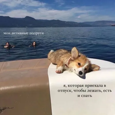 УЛЫБАЕМСЯ😁 на отдых собираемся! | СЕРЖ Синякин | СТИШКИ | Дзен