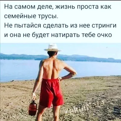 Я: С НЕТЕРПЕНИЕМ ЖДУ ОТПУСК Я В ОТПУСКЕ: / отпуск :: сон :: котэ картинки /  смешные картинки и другие приколы: комиксы, гиф анимация, видео, лучший  интеллектуальный юмор.