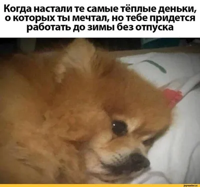Наш отпуск подходит к концу ✨ Это было потрясающее приключение… Сначала  было грустно и сложно, а потом весело и задорно! Первые дни -… | Instagram