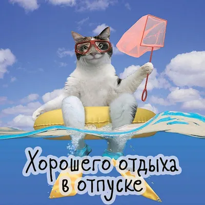картинки : весело, отпуск, волна, небо, море, берег, Туризм, океан, пляж,  отдых, счастливый 2492x1795 - - 1513497 - красивые картинки - PxHere