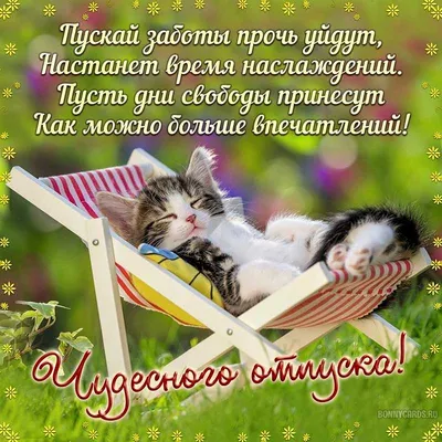 возбужденная энергичная счастливая туристка прыгает на пляже в летний отпуск  весело и свободно Стоковое Фото - изображение насчитывающей свободно,  смешно: 217629906