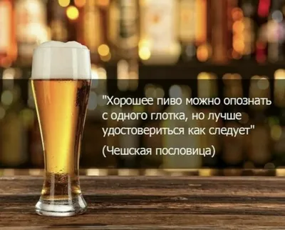 Прикольные картинки про пиво (28 лучших фото)