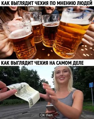 Здоровье | Пиво, Грибы, Здоровье