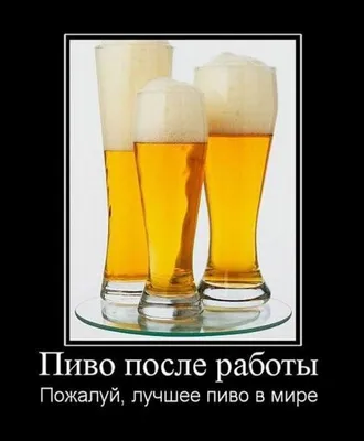 Веселая Тыква Ремесленник Алесь Кислое пиво Сайсон, пиво, Алкоголь По  объему, Бутылка пива, Тыква png | PNGWing