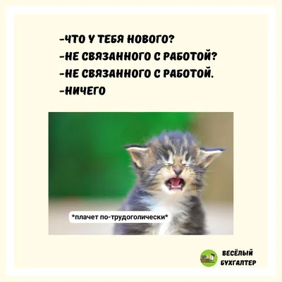 Весёлый бухгалтер | Facebook