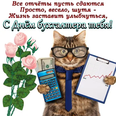 веселый бухгалтер