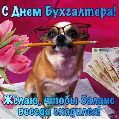 Картинки с Днем бухгалтера 2023 (красивые и прикольные)