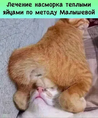 веселый бухгалтер