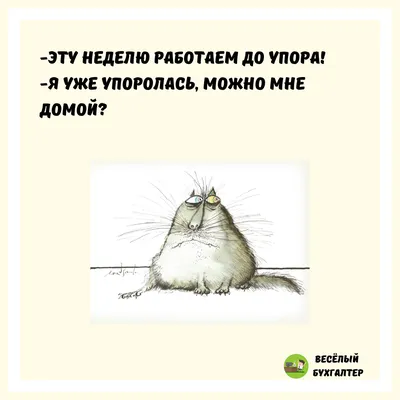 бухгалтер / смешные картинки и другие приколы: комиксы, гиф анимация,  видео, лучший интеллектуальный юмор.