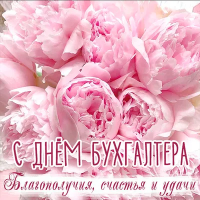 Кружка HAOS SHOP \"подарок бухгалтеру, бухгалтерский учеет, бухгалтерия,  бухгалтер, с приколами, для чая, с надписью, с приколом, прикол, с принтом,  чайная, прикольная, керамическая, подарок, для кофе\", 330 мл - купить по  доступным