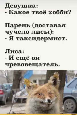 С Днем бухгалтера Украины 2021: прикольные поздравления, картинки и видео