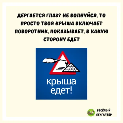 Директор Главный бухгалтер □ОВД Менеджер проекта Маркетолог Памагите 1 /  котэ (прикольные картинки с кошками) / смешные картинки и другие приколы:  комиксы, гиф анимация, видео, лучший интеллектуальный юмор.