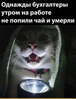 Центральный дом бухгалтера - ВЕСЕЛЫЕ ИСТОРИИ ИЗ ЖИЗНИ БУХГАЛТЕРА ⠀ Многие  считают, что работа бухгалтером скучная  Мы же общаемся с бухгалтерами  каждый день и ответственно заявляем: с чувством юмора у бухгалтеров